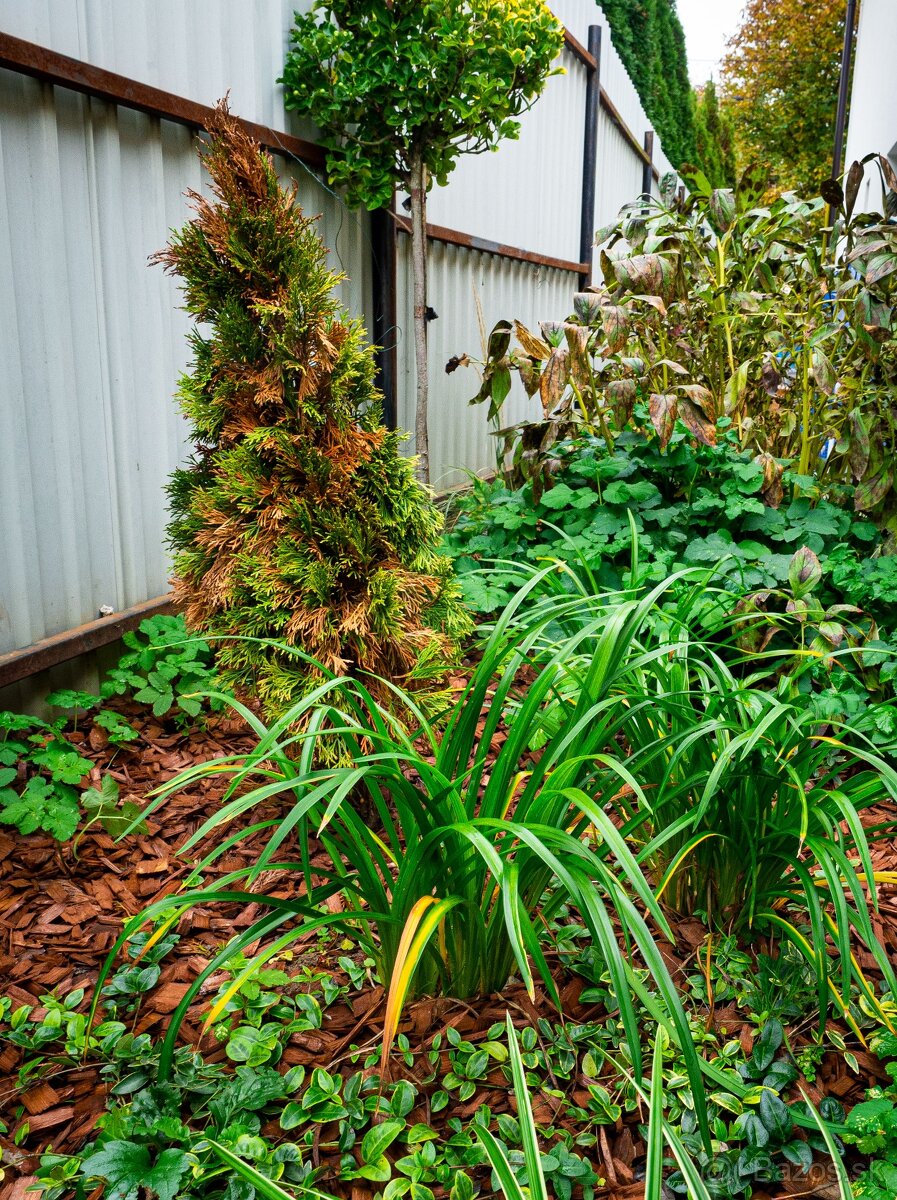 PREDÁM OLYMPUS OM-D E-M10 - 8