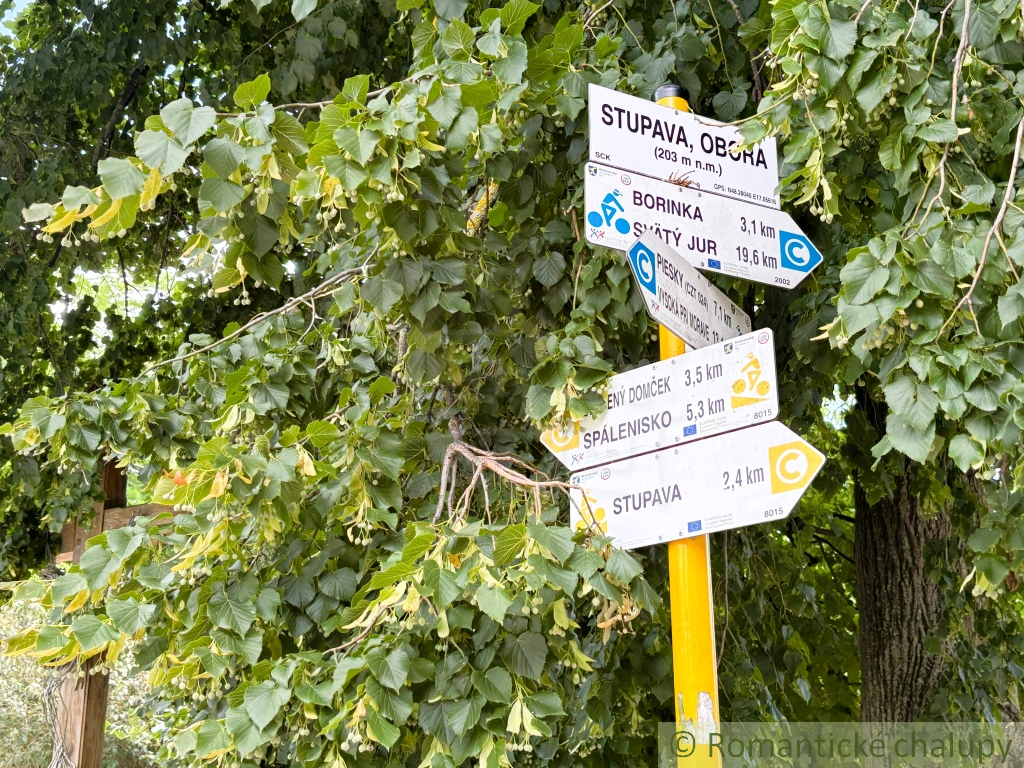 Záhrada v Stupave, s potenciálom na rekreáciu aj výstavbu - 8