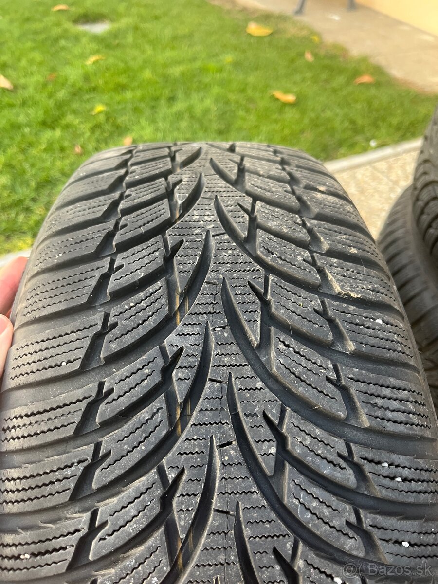 Zimna sada MAZDA R16 - 8