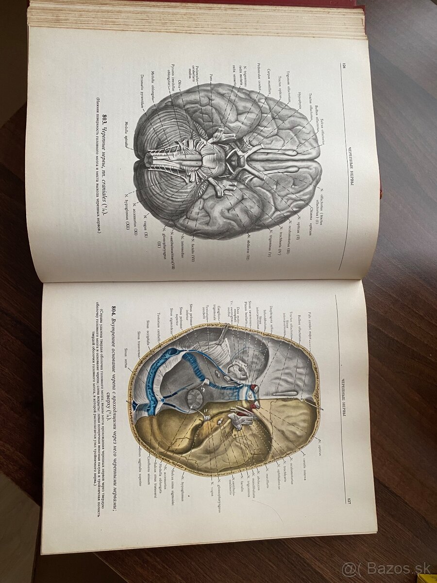 Atlas - Anatomia cloveka 2,3 - 8