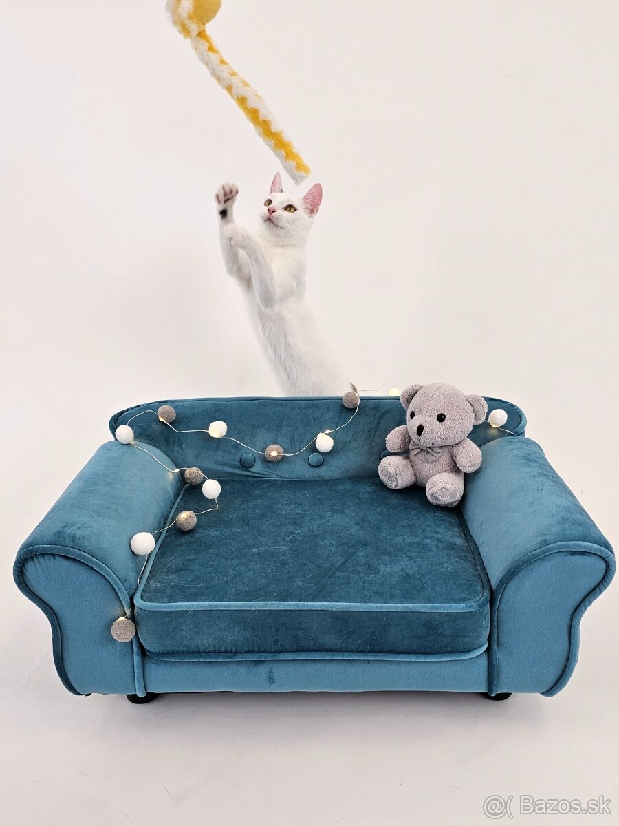 ČIMKO hľadá domov - 8