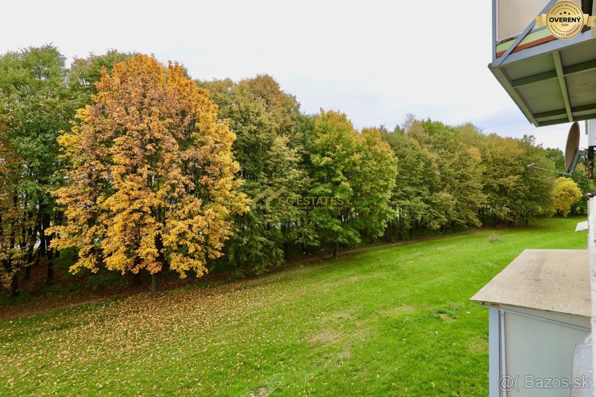 3-izbový byt s veľkým balkónom v Michalovciach - 8