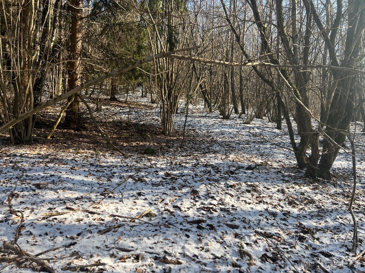 PREDAJ lesný pozemok, Chotár, Nová Baňa, 10 842 m2 - 8