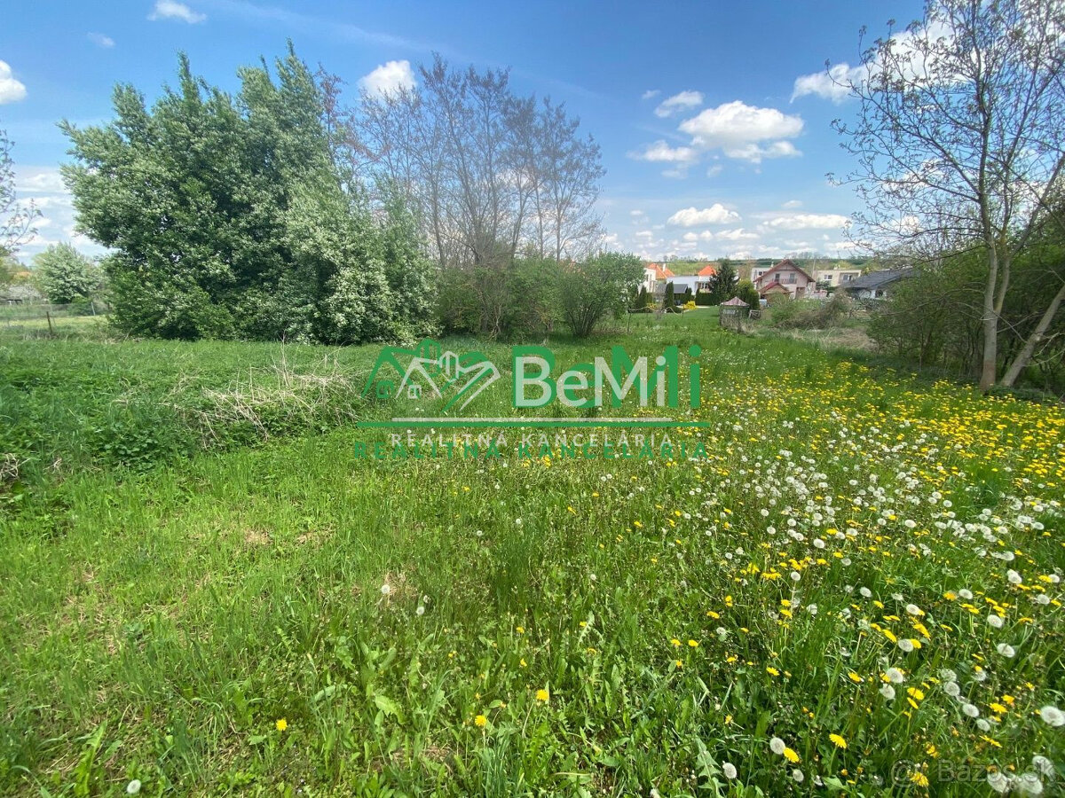 Pozemok v obci Sľažany 3 595 m2 intravilán ID 558-14-MIG - 8