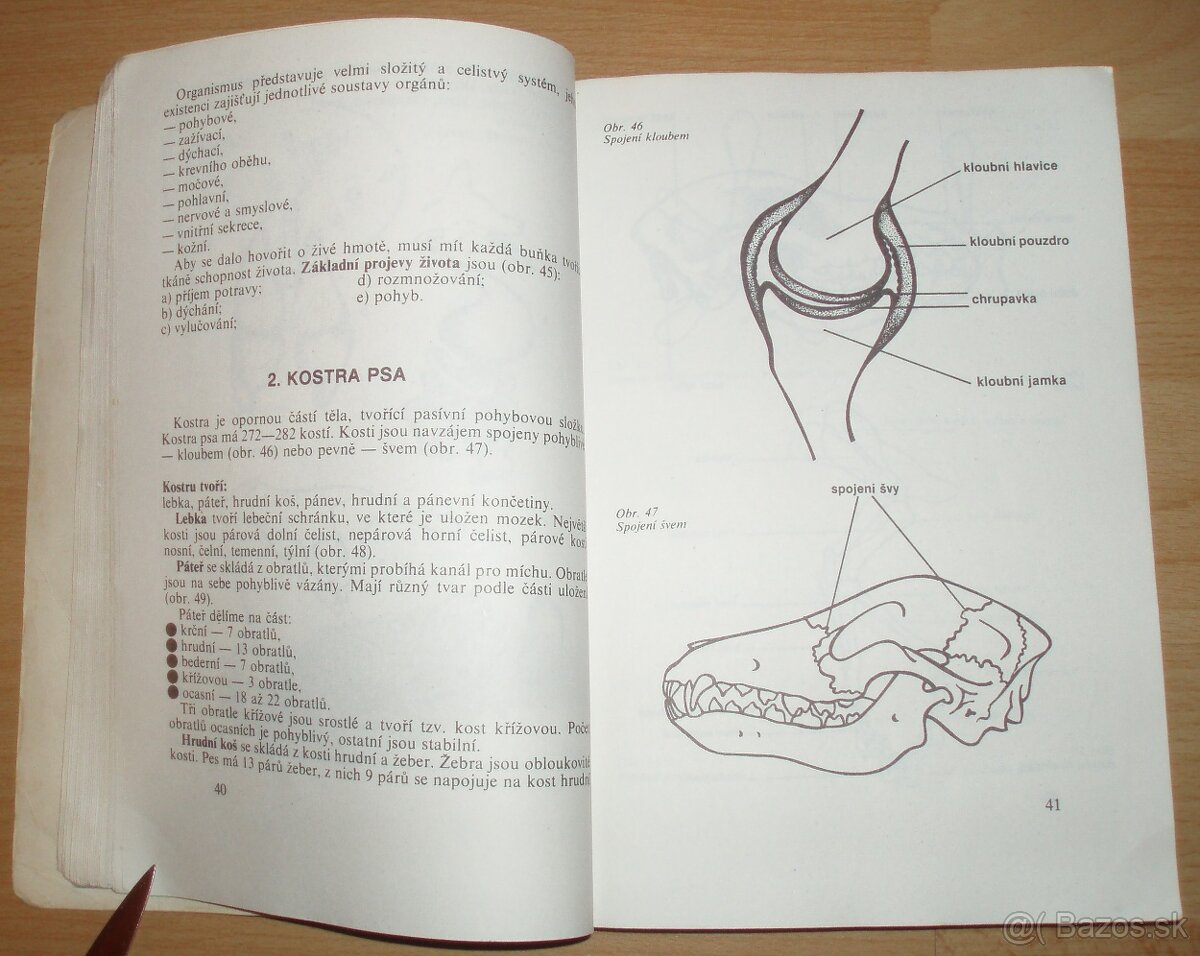 Pes a jeho výcvik - 8
