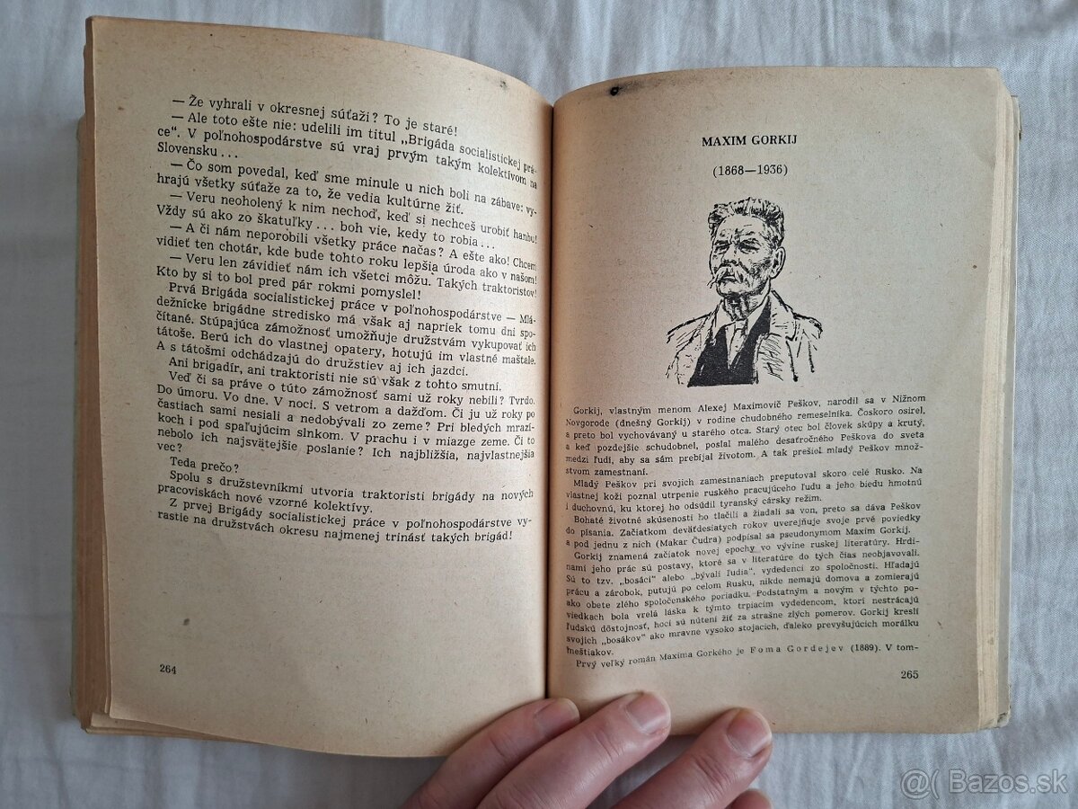 Literárna výchova pre 8. ročník základnej deväťročnej školy - 8