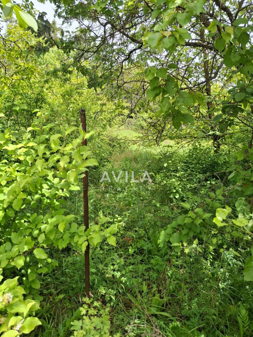 Na predaj: záhrada v atraktívnej lokalite Nové Mesto nad Váh - 8