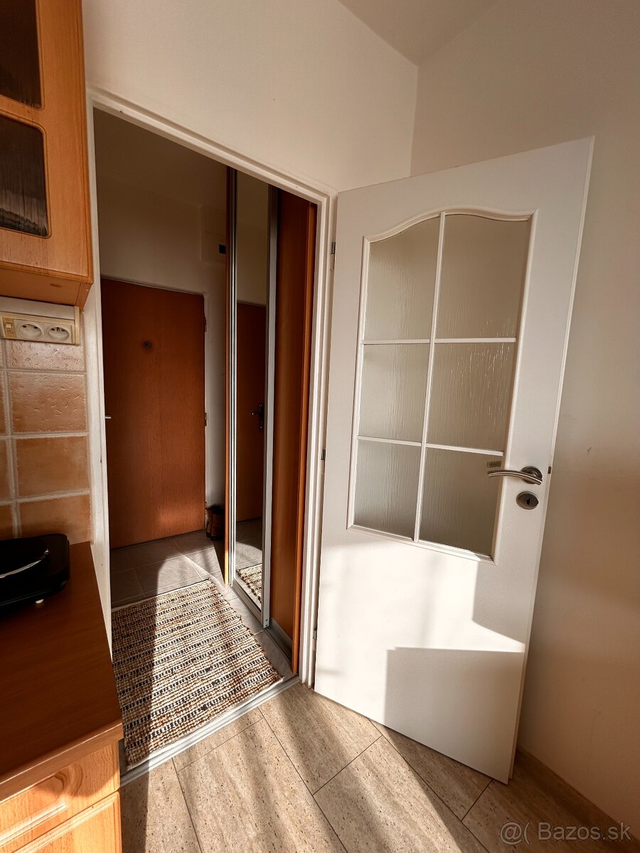 PET friendly útulná garsónka - 8