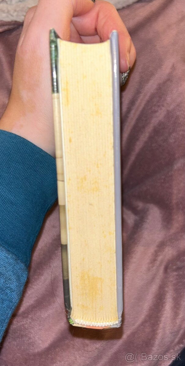 Vojvodova túžba, Zvodný gróf, - 8