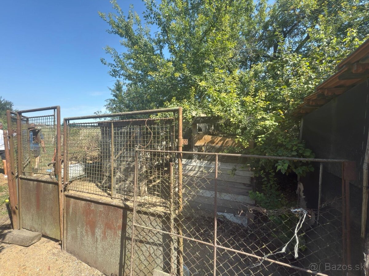 Na predaj: Štvorizbový rodinný dom s veľkým pozemkom – Tešed - 8