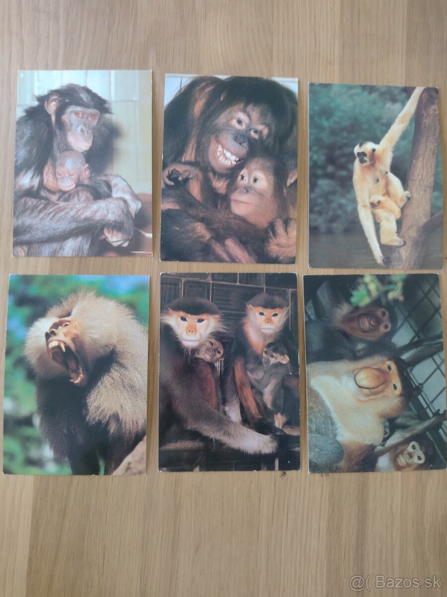 Predám nepoužité - 8