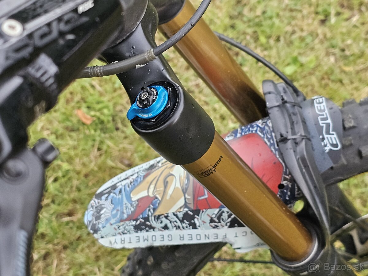 Canyon Torque CF9 - 8