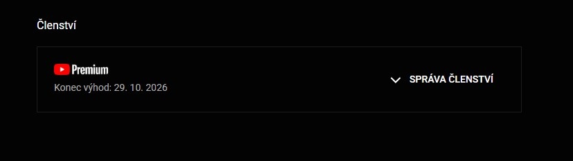 YouTube PREMIUM 12/24 M (AKCIA) - 8