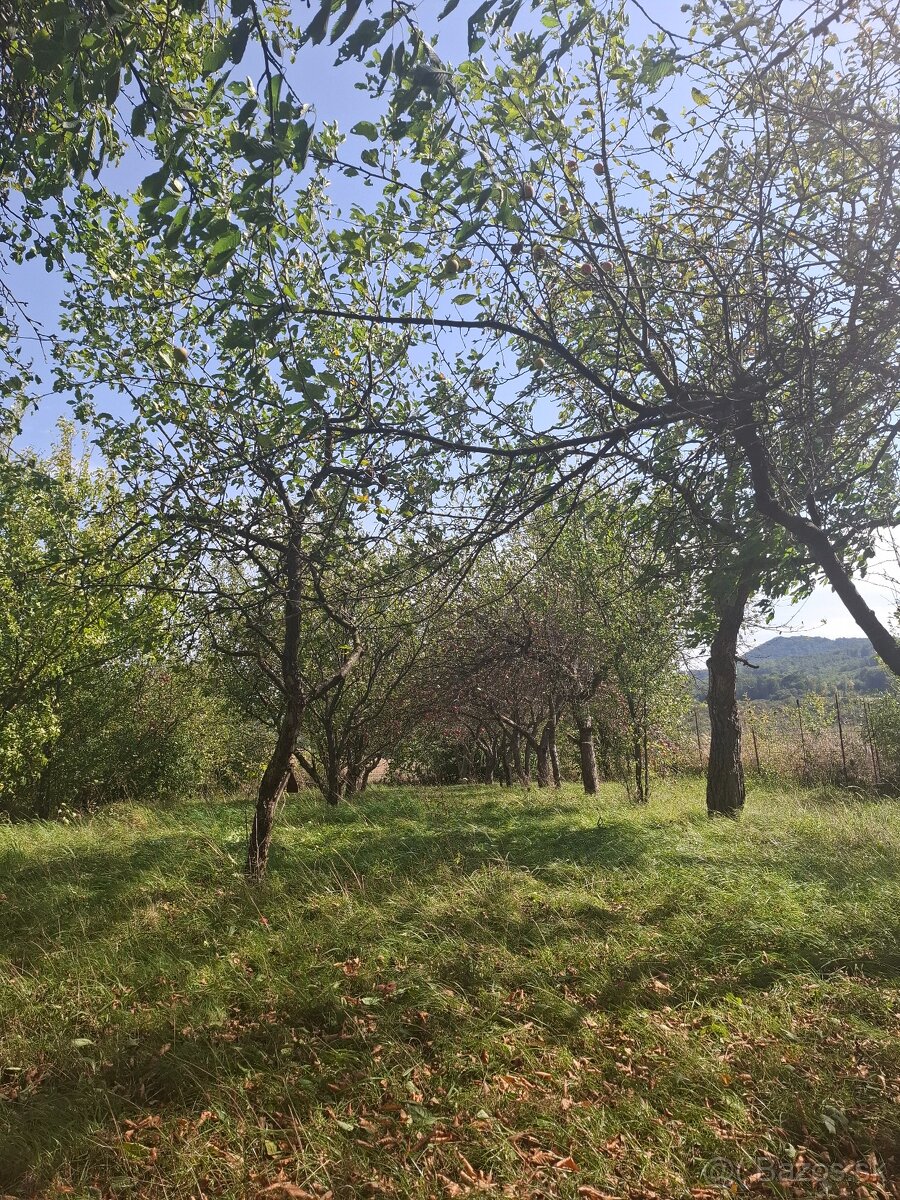 Vianoce pri krbe vo vlastnom dome pri TN - 8