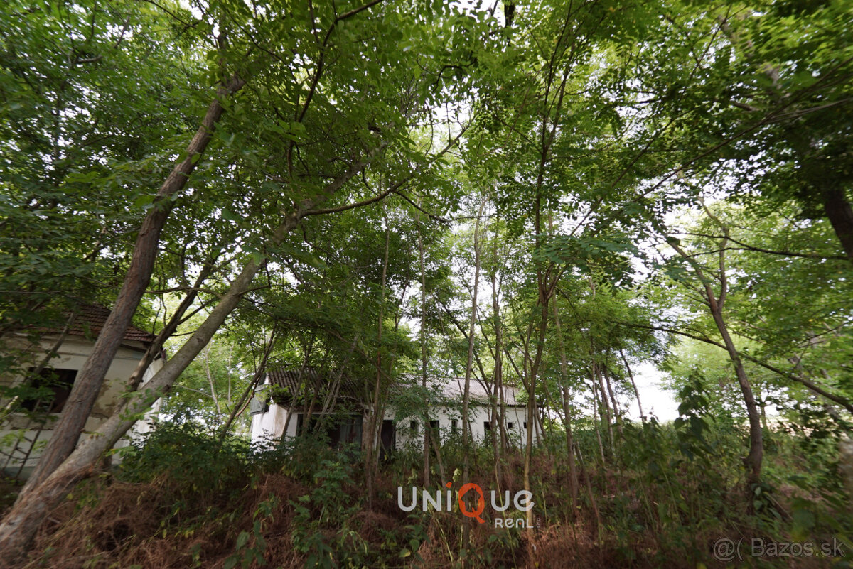 NA PREDAJ: USADLOSŤ NA SAMOTE S POZEMKOM (1ha) PRI OBCI OKOČ - 8