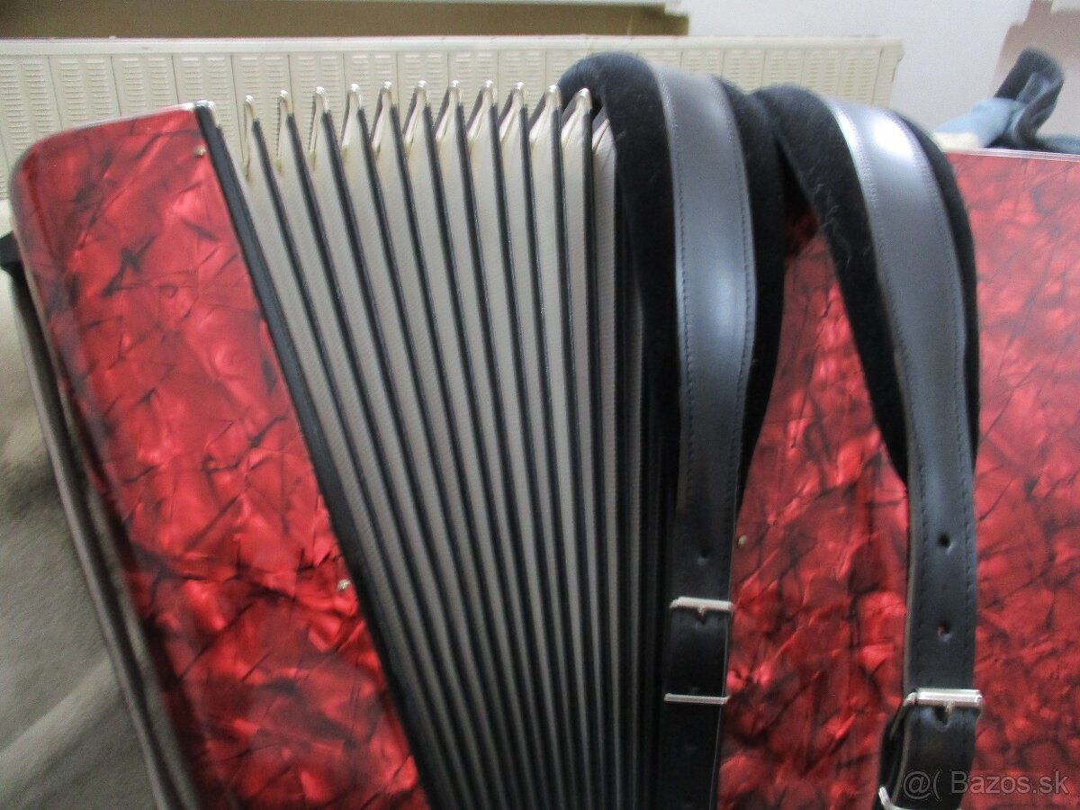 harmonika delicia - 8