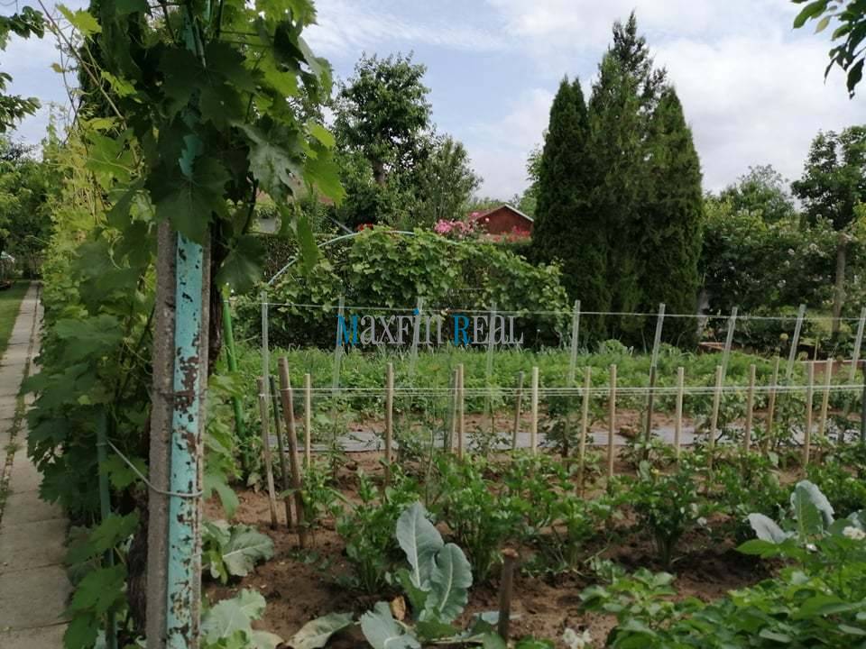 MAXFIN REAL - NA PREDAJ chata s bazénom v Nových Zámkch - 8