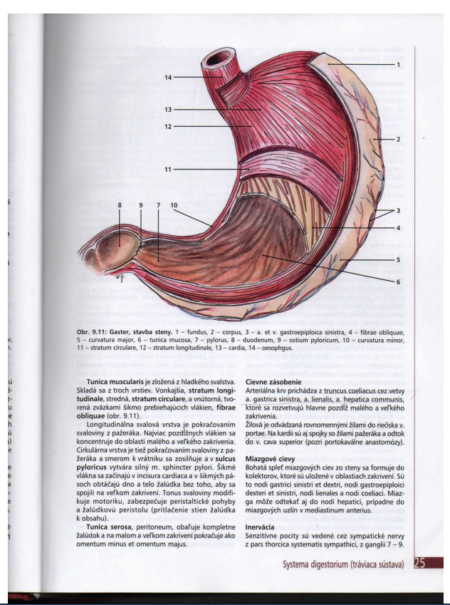 Knihy, učebnice na Medicínu PDF formát - 8