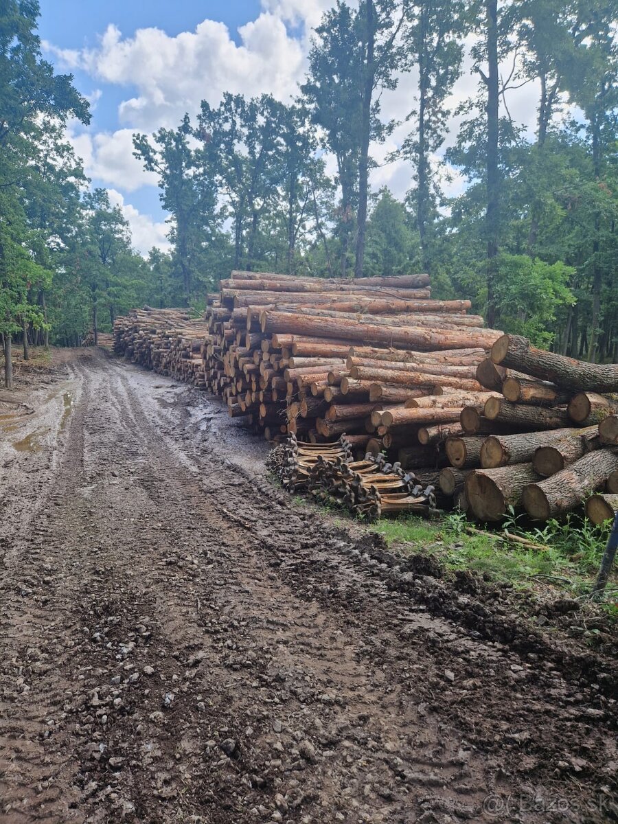 Dubové drevo_Vykurovanie_Predaj_Doprava_19112025 - 8