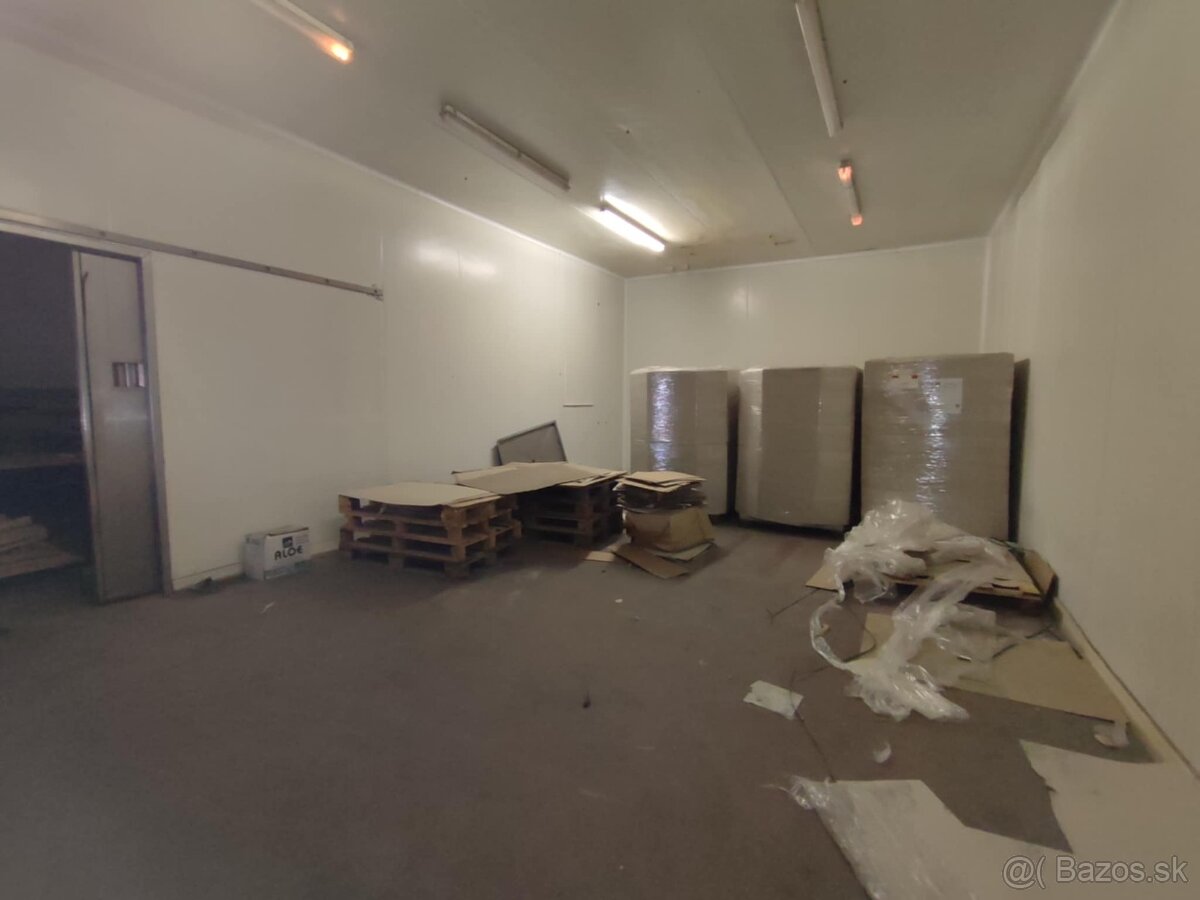NA prenájom prevádzkové priestory 535m2,LEvice - 8
