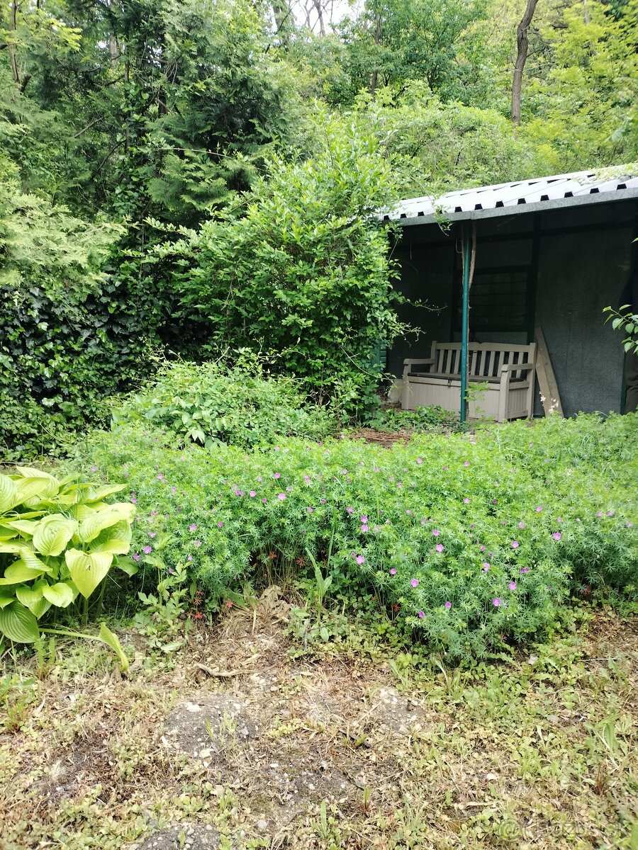 Na predaj záhrada Šípková Vyšné Opátske, znížená cena - 8