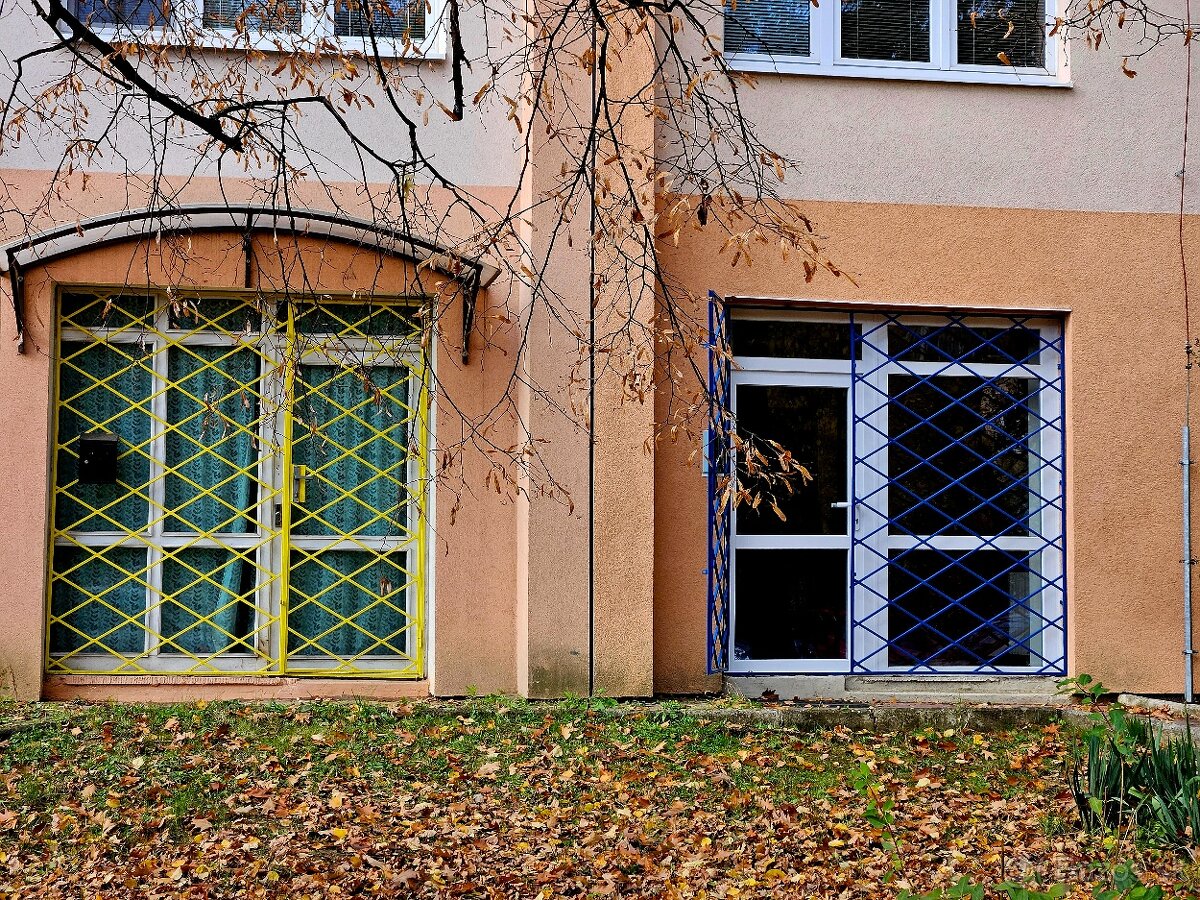 Na prenájom priestory Čapajevova 8, výmera 82 m2 - 8