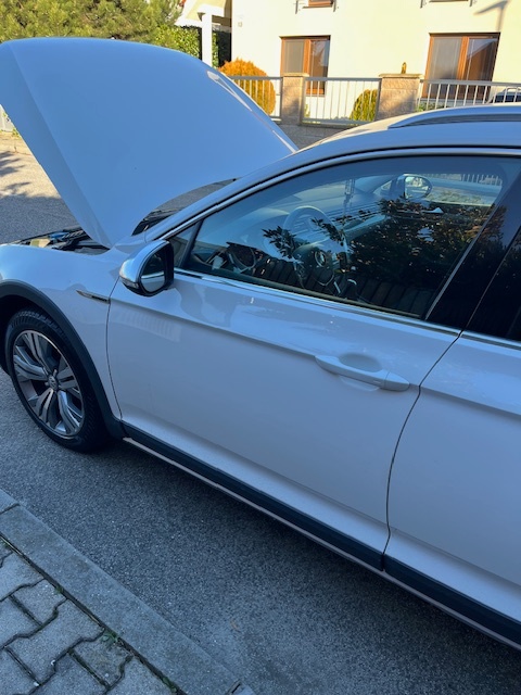 Passat Alltrack 44 - 8