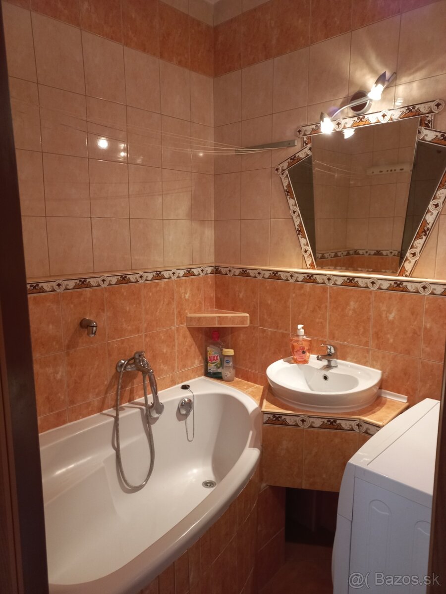 Prenajmem 1 izbový byt v centre KE-Palárikova 3 - 8