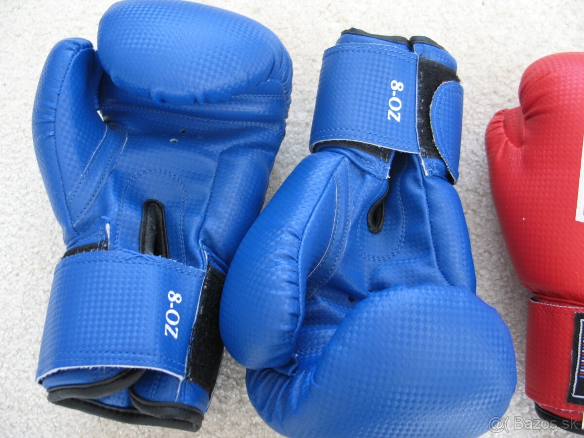 Kickbox rukavice , lap, štít na kopy a spol., BUDO sport - 8