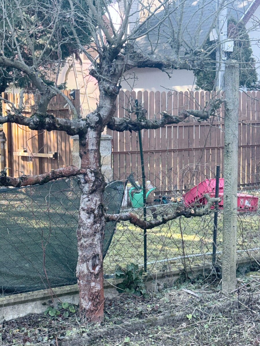 Záhradka na predaj pri Váhu - 8