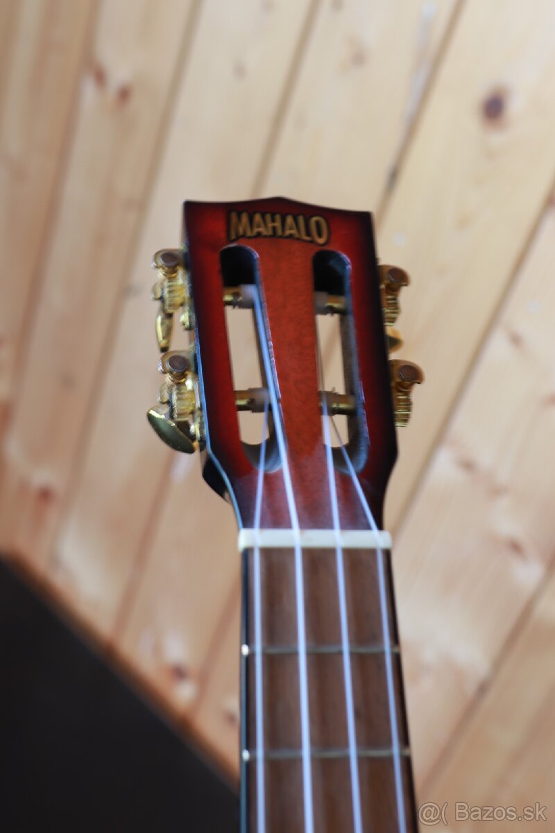 Elektro akustické ukulele - 8