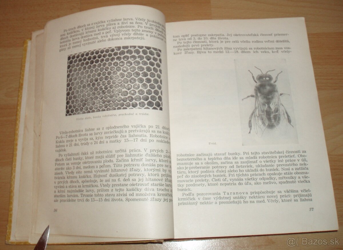 Včelárstvo - 8