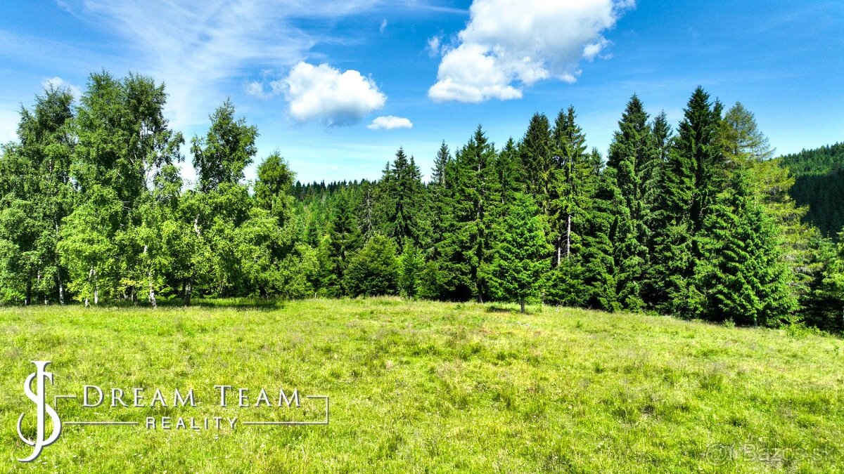 Stavebný pozemok 2.2ha v krásnom prostredí Látky okr. Detva - 8