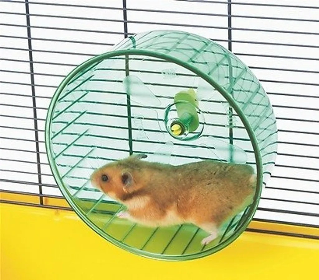 Koliesko a guľa pre škrečka - 8