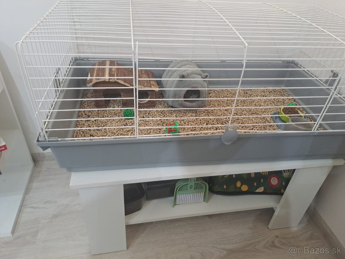 Ježko bielobruchý s vybavením - 8