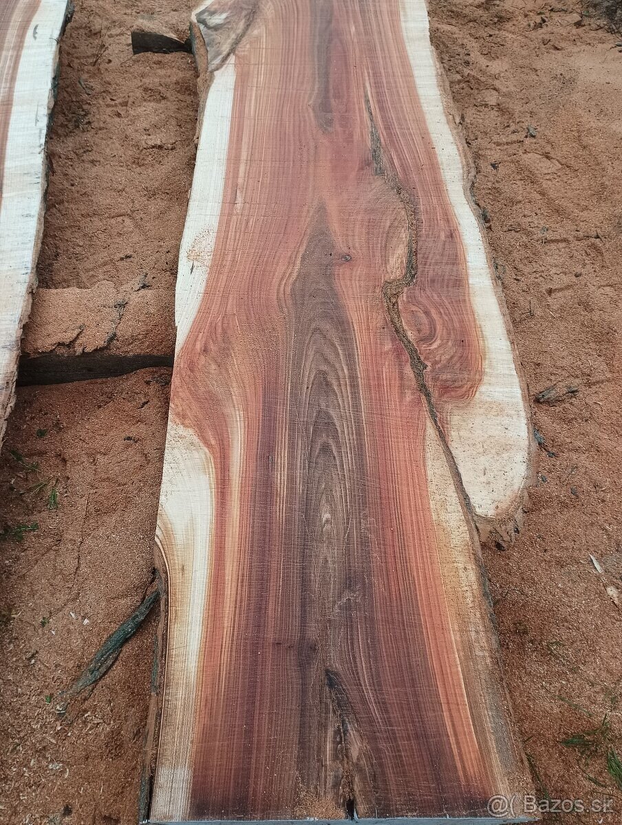 Brastové forsty - 8