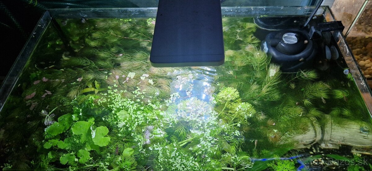 Akvárium 45l - 8