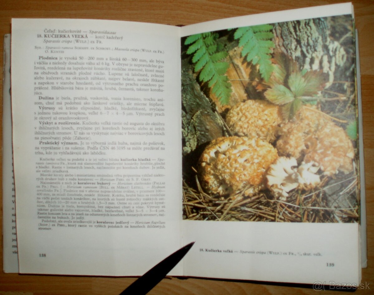 Huby lesov, polí a lúk - 8