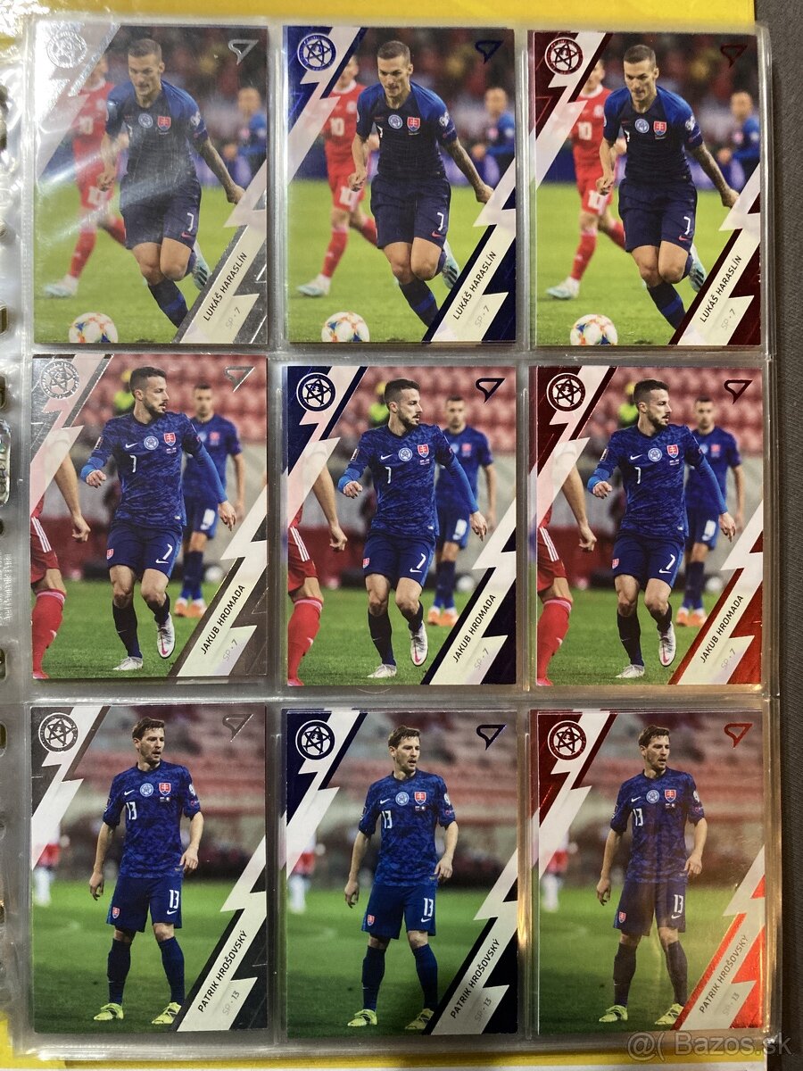 Slovenský Sokoli 2021 - 8