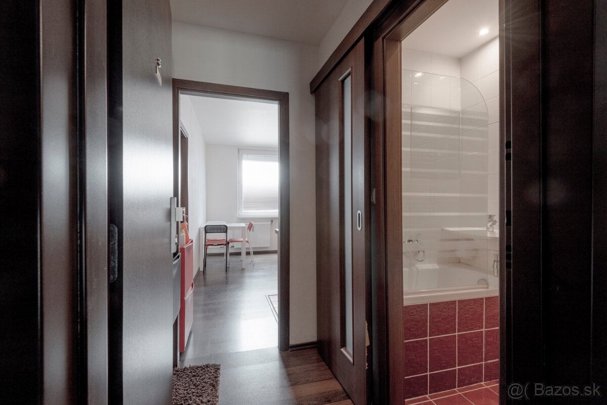Jednoizbový byt - 8