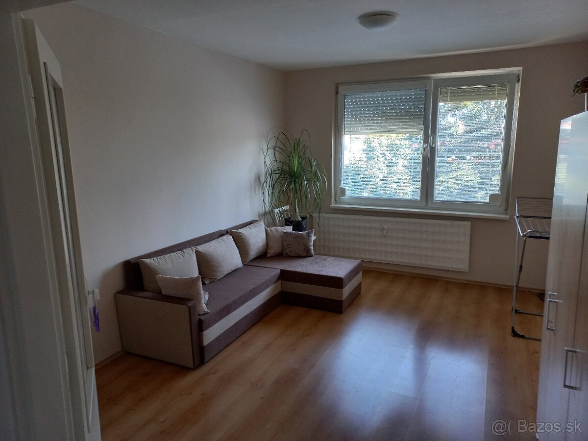 Prenajom 2 izboveho bytu, Nove Zamky Komarnanska - 8