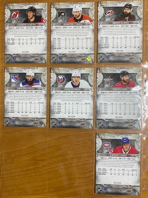 Hokejové kartičky NHL Artifacts Silver - 8