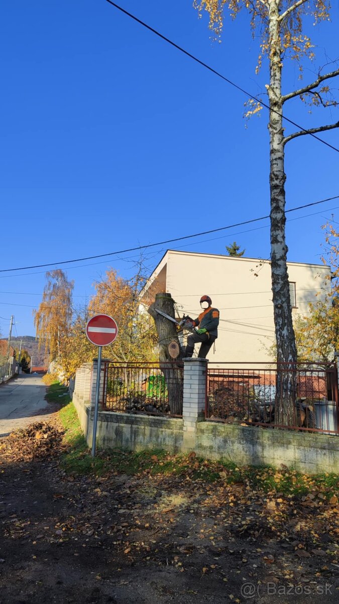 Rizikové rezanie stromov - 8
