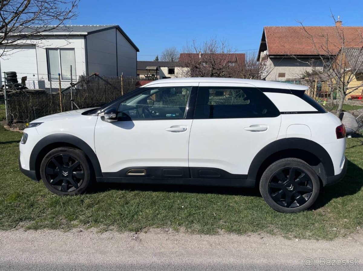 Citroën C4 Cactus 2019 1.2 81 kW - 8