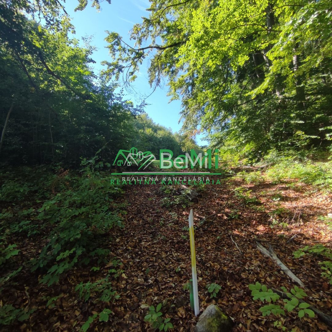 Rekreačný pozemok v Tajove na predaj ID: 015-14-STKa - 8