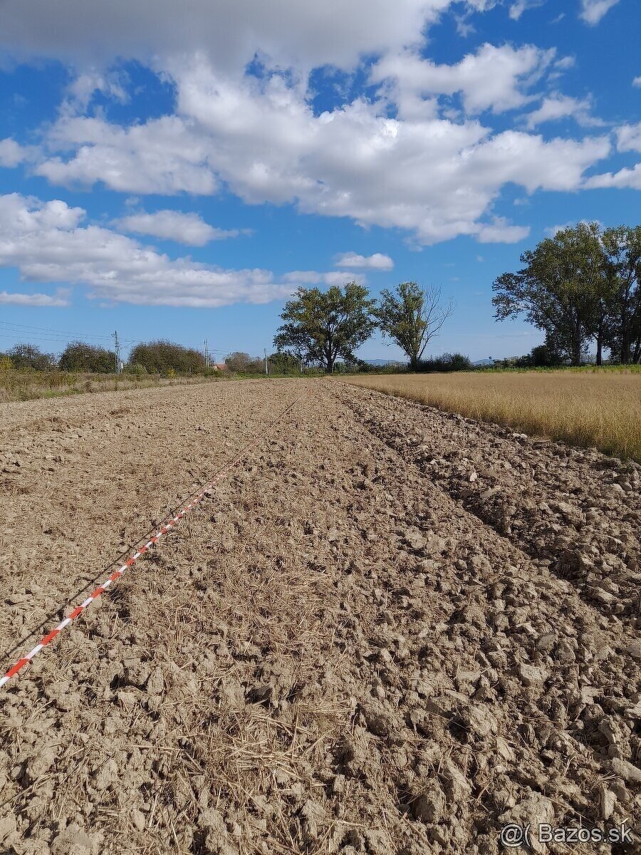 Rod Dom Mokrance - 8