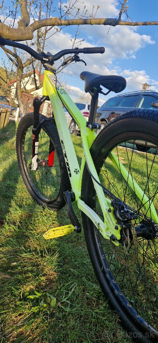 Ctm dirtking - 8