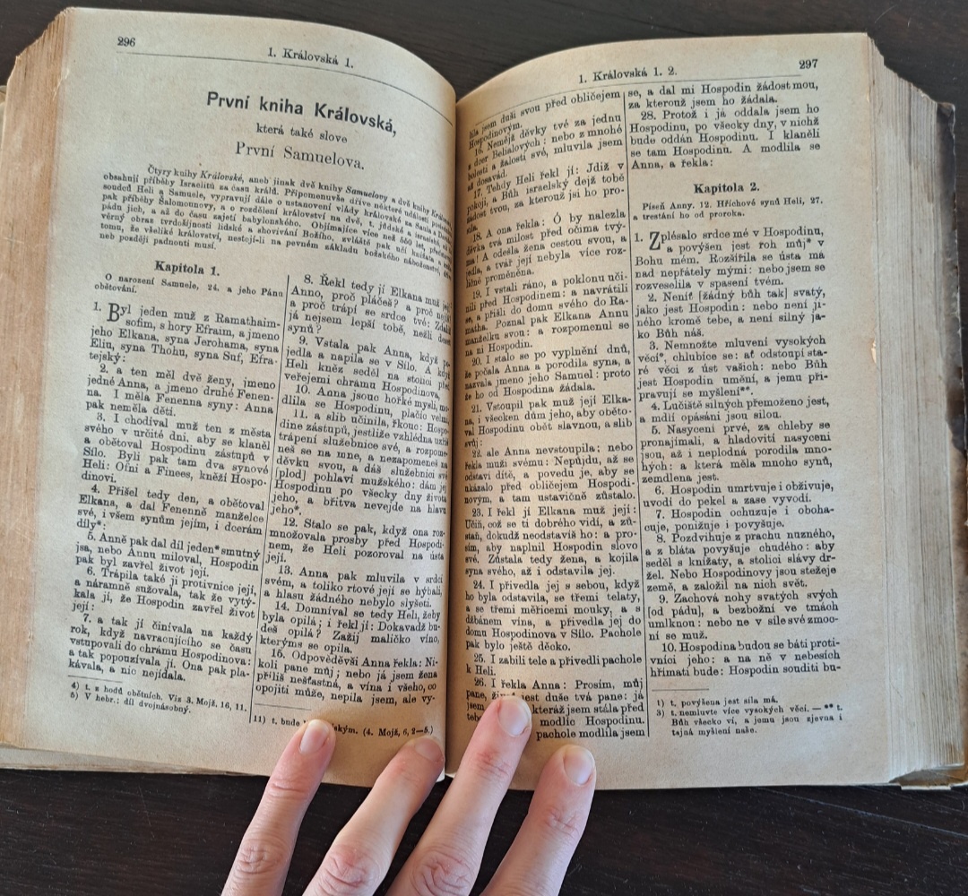 Biblie Česká 1889 - 8