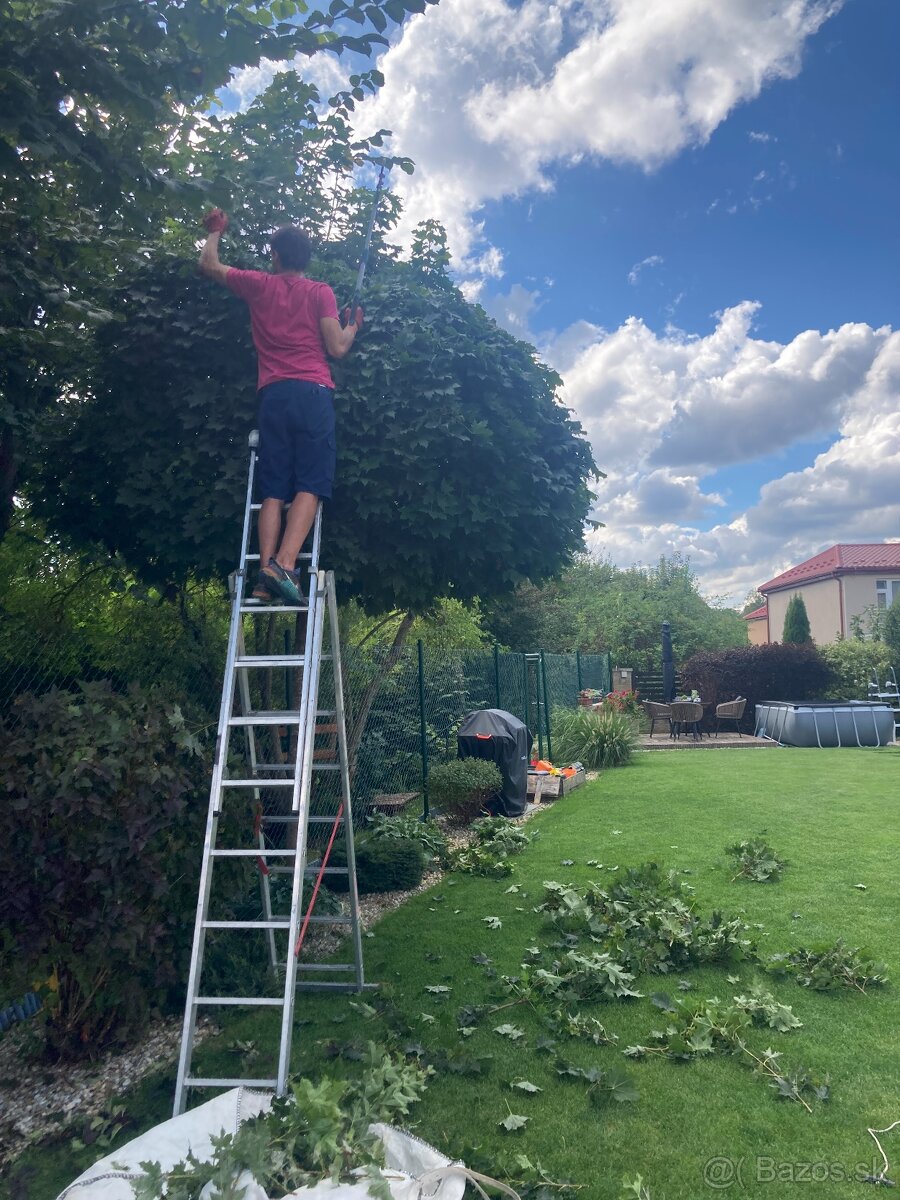 Zimné upratovanie záhrad a rez ovocných stromov - 8