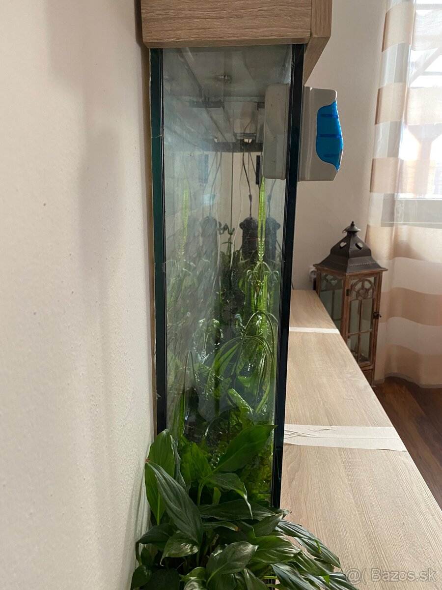 Predám akvárium - 8